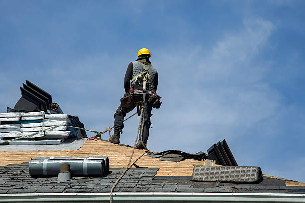 Professional Storm Damage Roof Repair technician working in Dysart, IA
